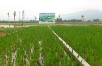 南安市康美鎮(zhèn)園內村A區(qū)/ 南安市康美鎮(zhèn)園內村B區(qū)